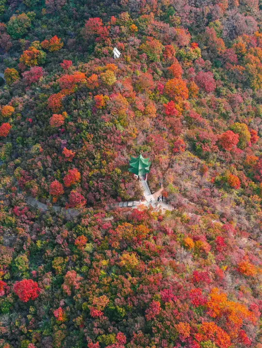 铁发【秋韵八泉峡山水东太行双飞6日】有山不爬山，有水撑船玩，有品牌酒店还要连住，有时间也要慢慢玩的赏秋首选好去处！