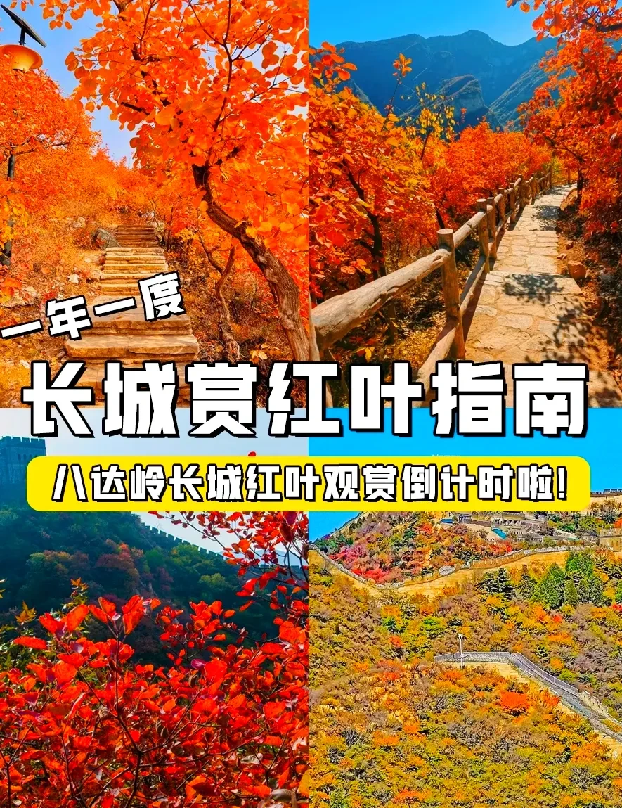 4c707ca77dd88dedcb04d8cb5ed1e110-sz_2438275