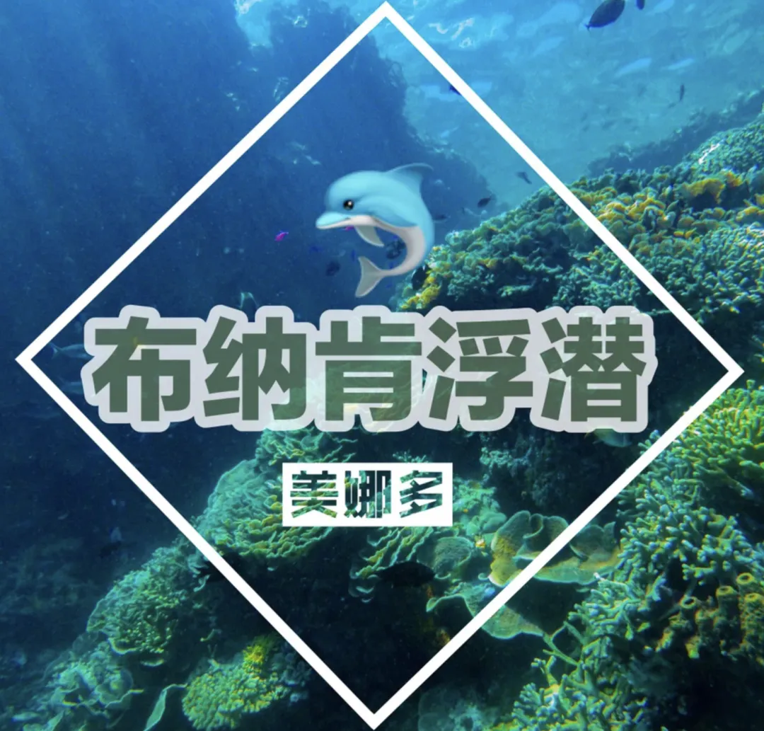 4febdf57d7b87a191fda50fffe5a0c1e-sz_3260336