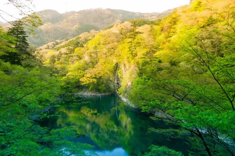五星康养⛲无限次温泉⛲棋牌+K歌⛲双动车5日1299【纯玩·大别山神汤】携程4钻温泉酒店，4晚连住不挪窝，餐餐全含8正餐，赠送无限次泡温泉！