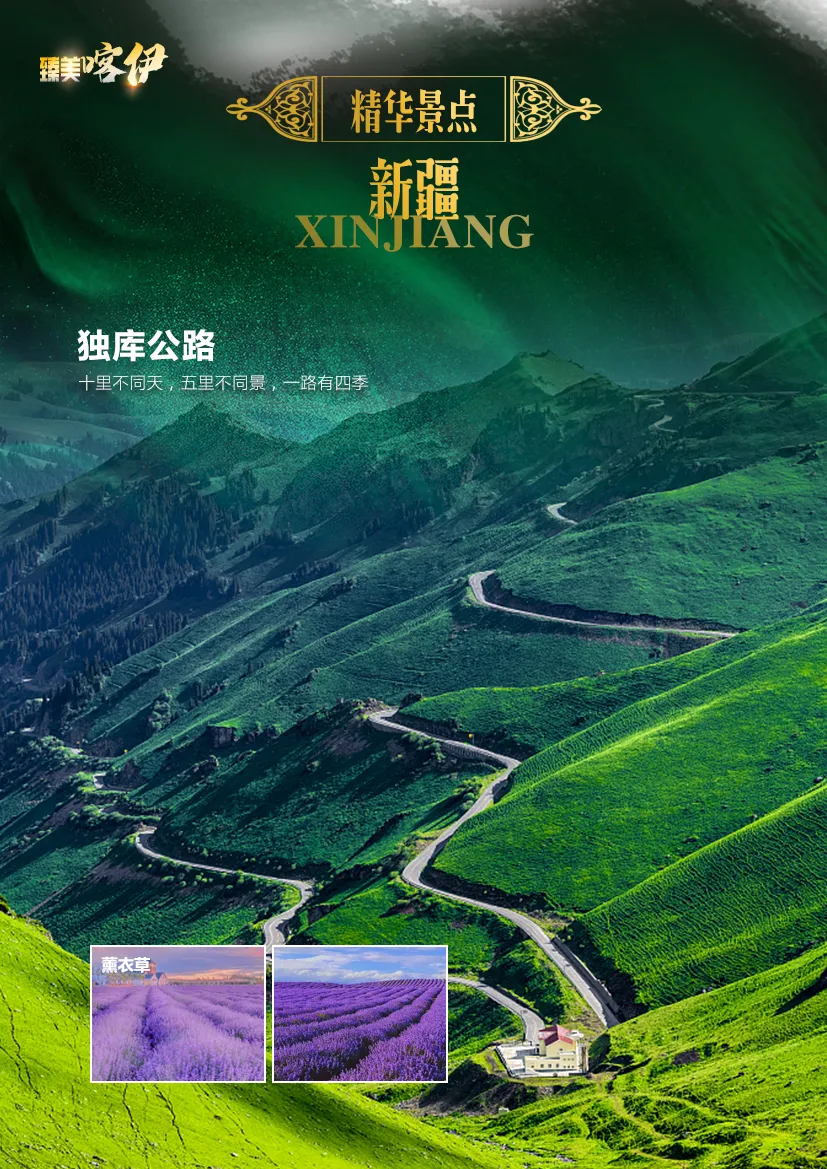 53d3a488cefc8c716ab0c743b1e20069-sz_1784981