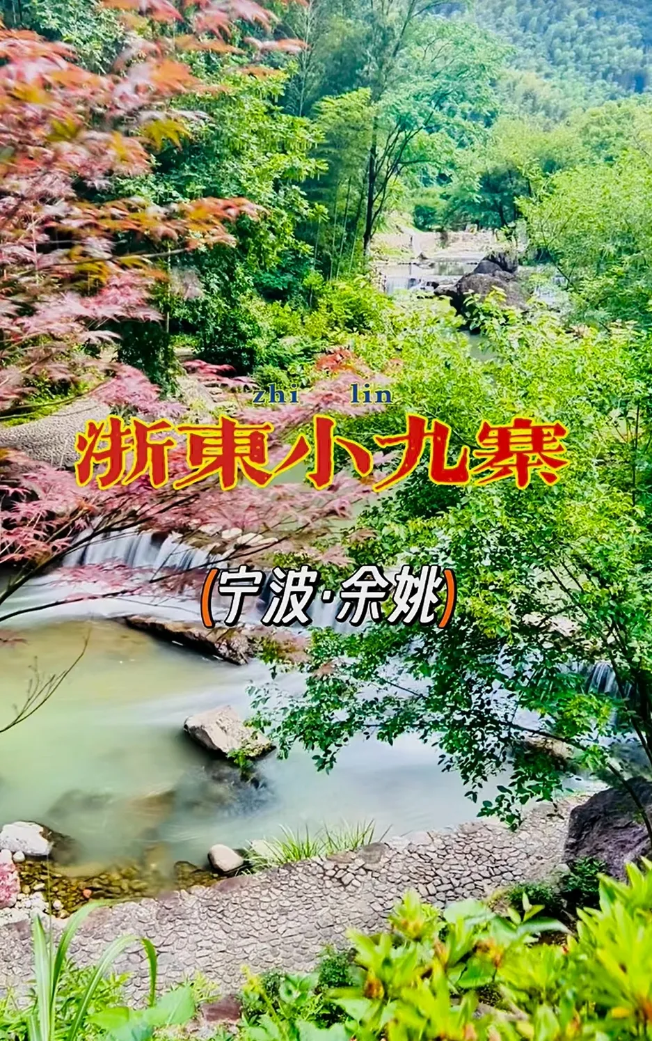 53e43fbb81a0165e5d14e7ed8eaa7a8b-sz_1311623