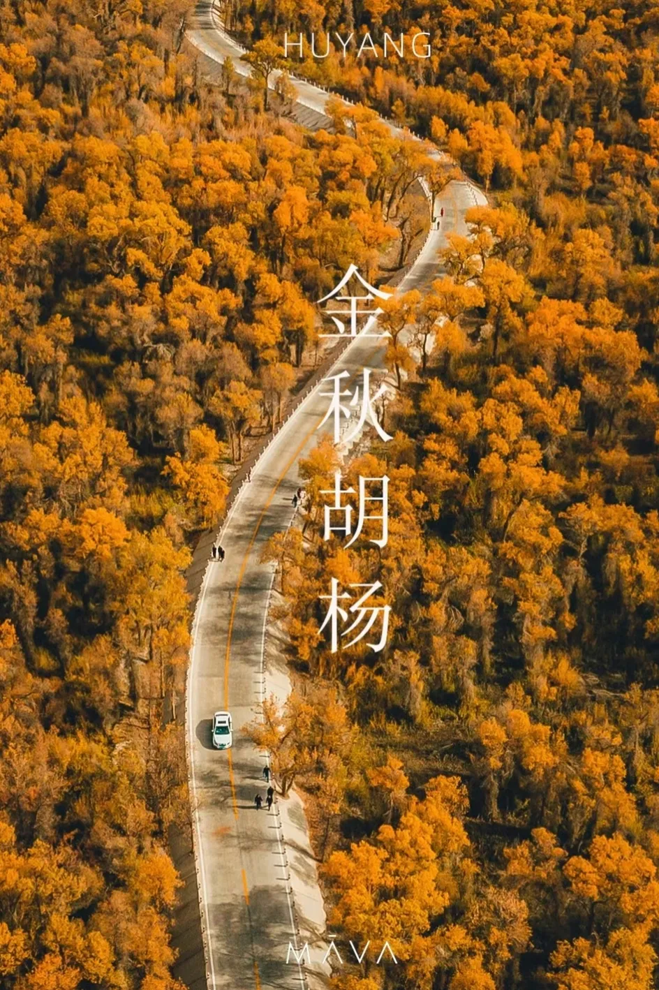 554cff0cd02a55b85a15261f74a9953c-sz_1339333