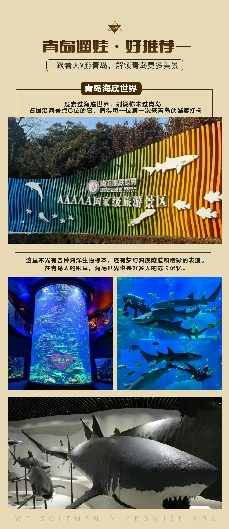 55da176d01b57ea13ce1d6b1a0719a7f-sz_620700