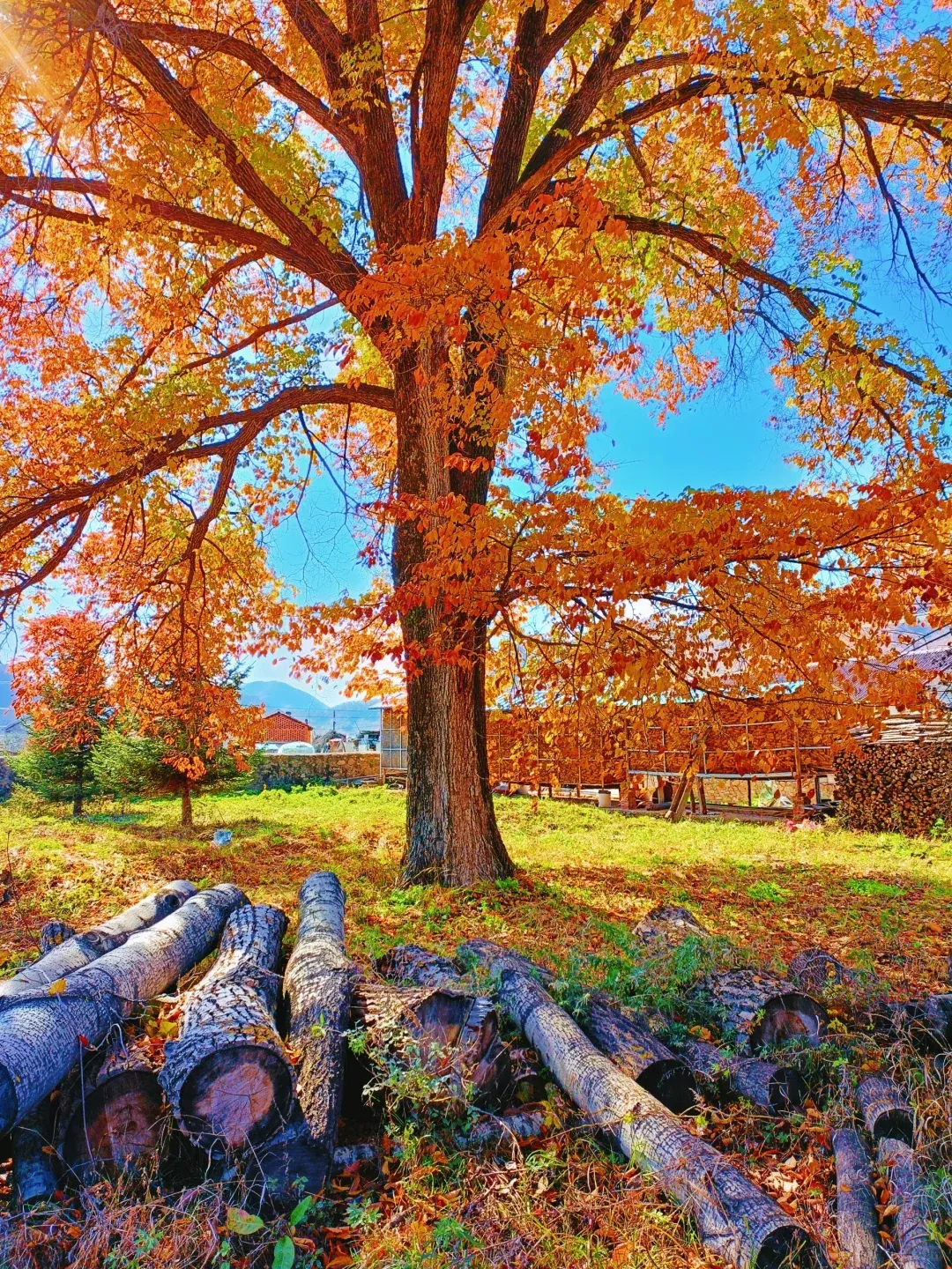 5827f08eba2f997c622c539ad05ef939-sz_5048874