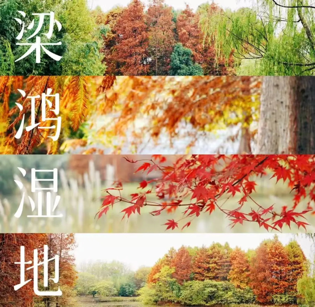5832c3aadb897b253e6bdcc113895a0e-sz_275652