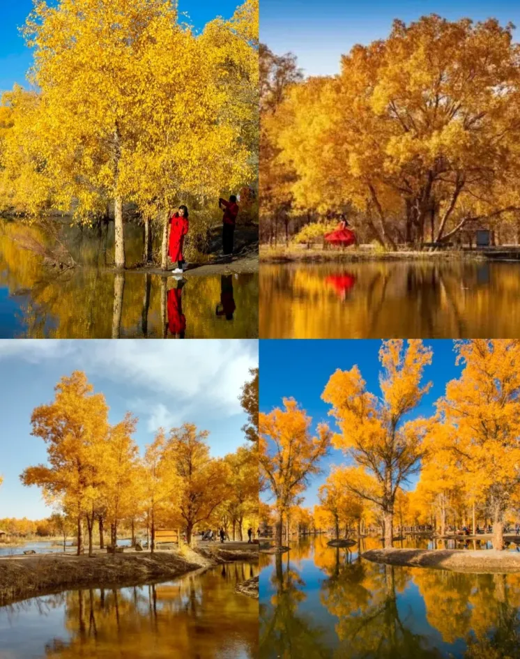 59a08d784776d7352599bb18040f9022-sz_2063441
