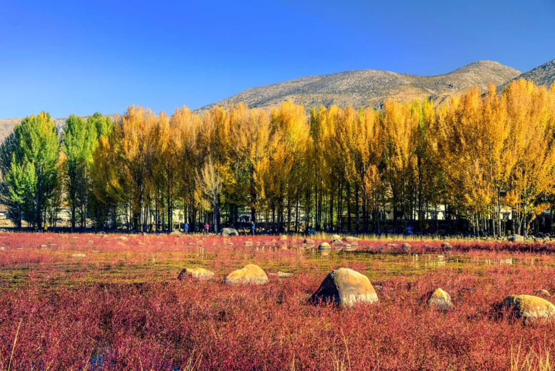 5b355fe608dc614676d85d9e72851b53-sz_892459 5b355fe608dc614676d85d9e72851b53-sz_892459