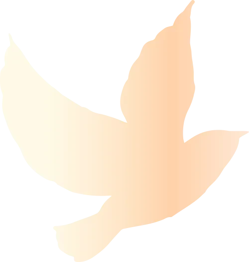 5c28dea4d6829356fdbac663c1ab0a81_sz-27247 5c28dea4d6829356fdbac663c1ab0a81_sz-27247