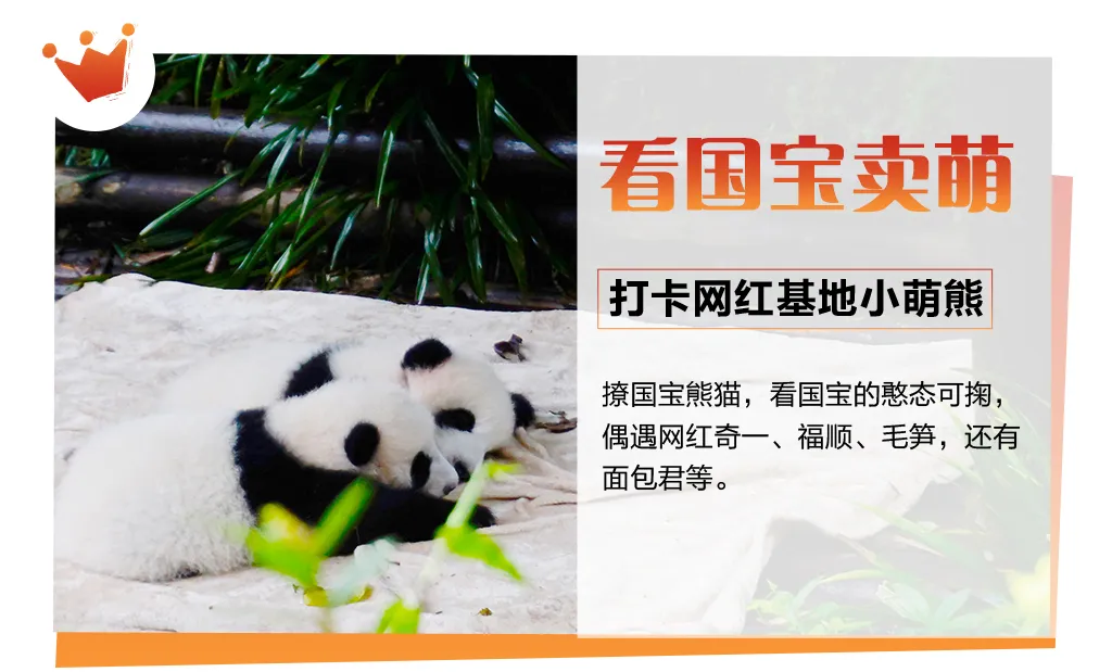 5ea31abbe3d8d0556a7c45e645d42344-sz_2232794-3 5ea31abbe3d8d0556a7c45e645d42344-sz_2232794-3