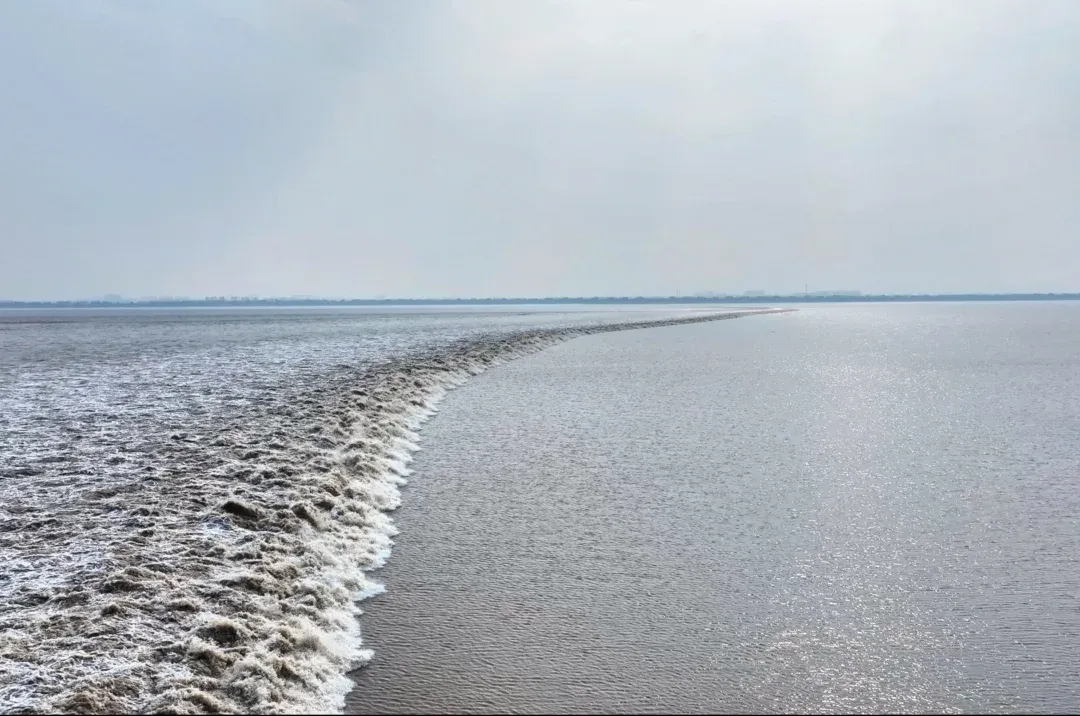 5f0ecc3c2c83b9cec6abddd8ad4c5d12-sz_2387308-3 5f0ecc3c2c83b9cec6abddd8ad4c5d12-sz_2387308-3