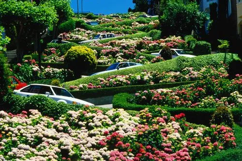 5f210c69c50ce0caec9654af77c99b02-sz_75324