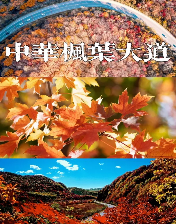 62f961d5617acd751f391ab9775d4289-sz_1280580 62f961d5617acd751f391ab9775d4289-sz_1280580