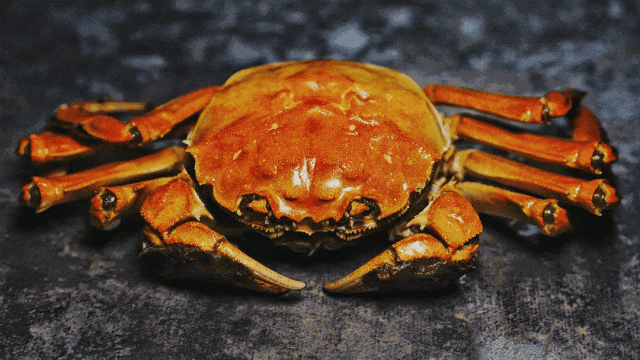 🦀『品蟹赏菊·秋天的第一网大闸蟹』5花世纪缘限时399，门票全含！船票全含！赏菊天花板~五彩千垛·船游万亩菊花，溱湖游船，品质酒店，2早4正，再赠每人一只清蒸大闸蟹，纯玩无套路！泰州·兴化三日
