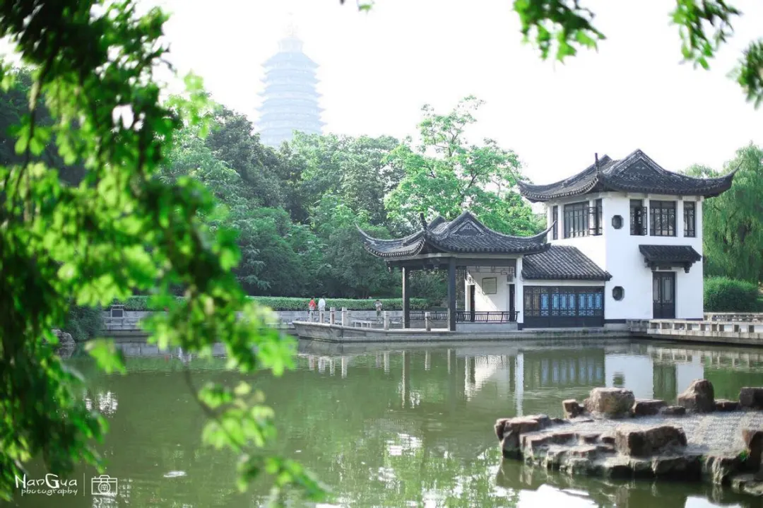 惊呆了🔆紫薇花园内，挂五星酒店！仅399『一车8张棋牌！送1个KTV，豪华自助早！一价全含』秋韵常州湾，最爱西太湖！《坐拥 600 亩紫薇主题公园》纯玩无购物，⭐独享西太湖畔五星假日⭐
