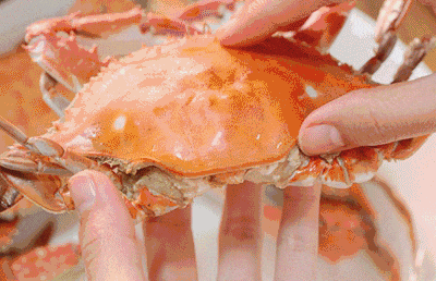 🇨🇳国庆·南通启东🦀洲际智选『邀你吃吕四的第一网梭子蟹·全程跟车』2晚连住洲际旗下智选~4A狼山，赠送打卡启东新晋网红启唐城，2早4正自助早，升级一餐梭子蟹，限时499