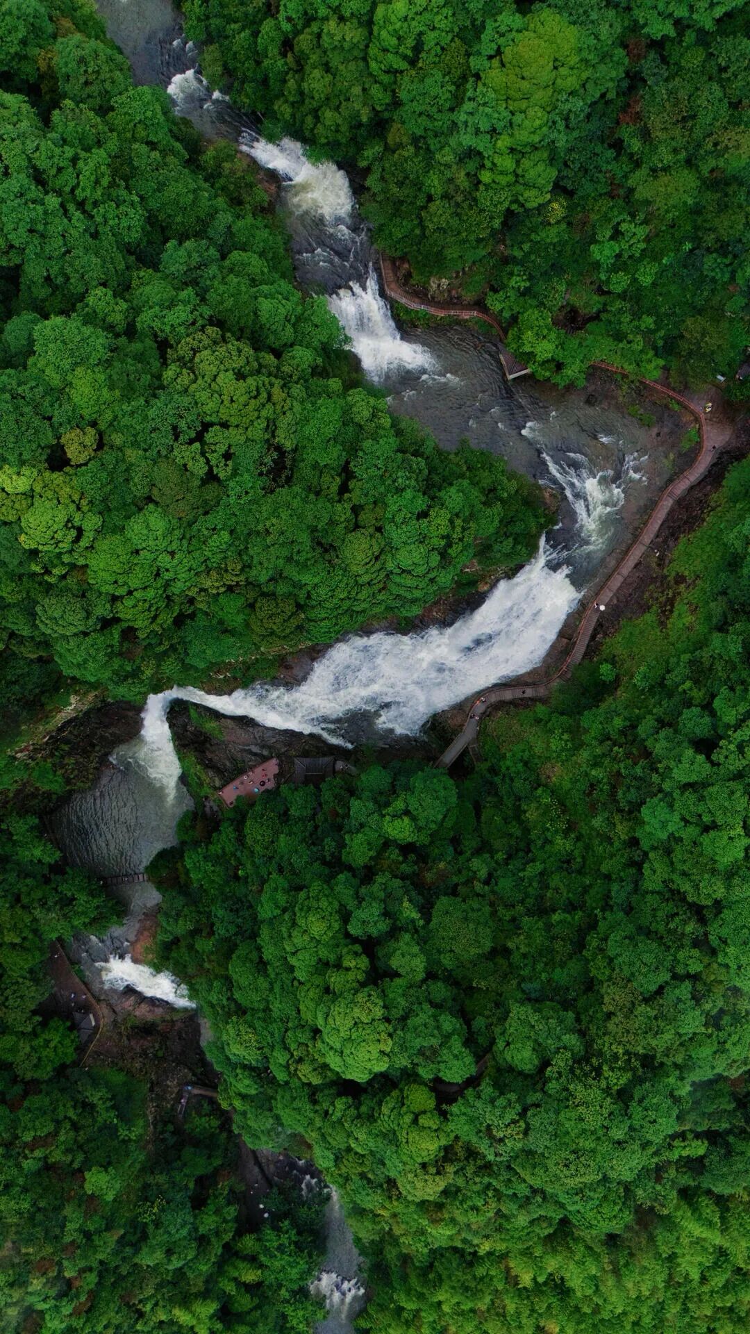 640-6277