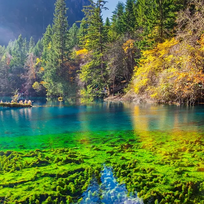 64c61f2a0876967a527356b24a106d04-sz_920264 64c61f2a0876967a527356b24a106d04-sz_920264