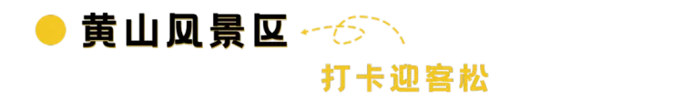 6536c17dad678c1d517113124889688a-sz_33337