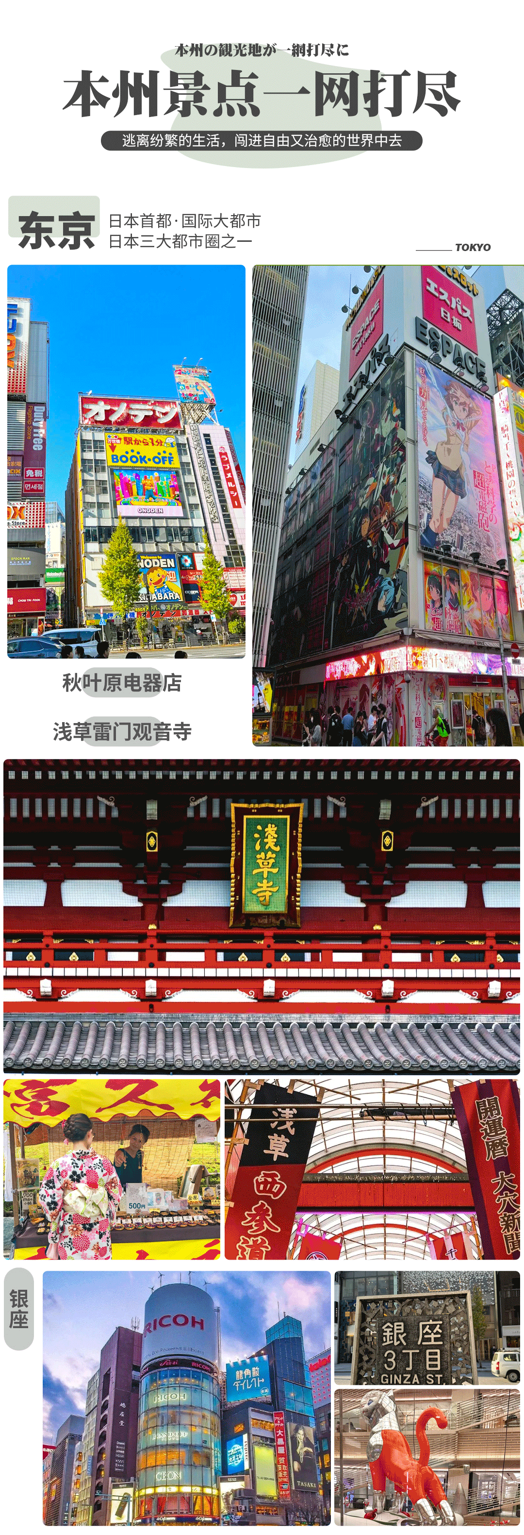 66f1901da1afdc82fab909c318c63985-sz_5192009