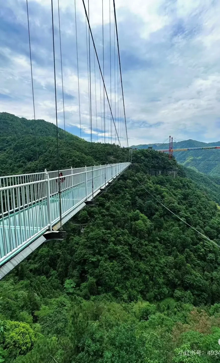 68b4c7891aee28005f7621bcb44e585c-sz_446960 68b4c7891aee28005f7621bcb44e585c-sz_446960