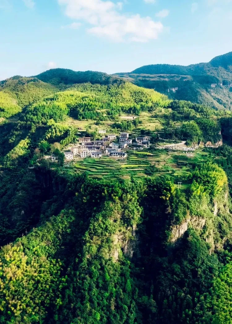 69ab6df6b908af932868bd52bfde565f-sz_406514 69ab6df6b908af932868bd52bfde565f-sz_406514