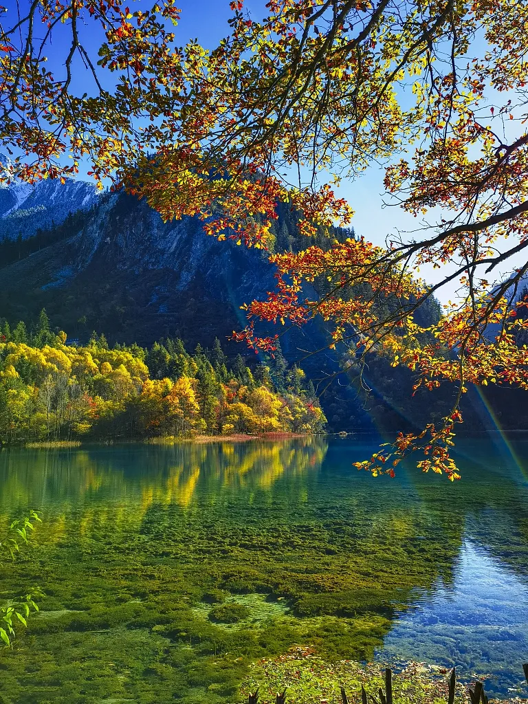 69c86c8d8a2a4764ffbd09d60f87f8be-sz_1209726 69c86c8d8a2a4764ffbd09d60f87f8be-sz_1209726