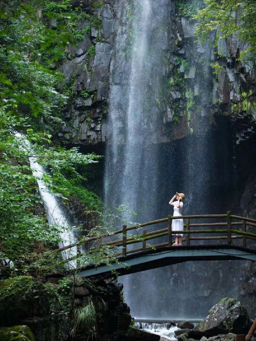 国庆不加价499【浙东香格里拉❤四明山康养4日】四明山☘️商量岗🍭吃住都在景区+3早6正♨️免费棋牌🀄️KTV欢唱