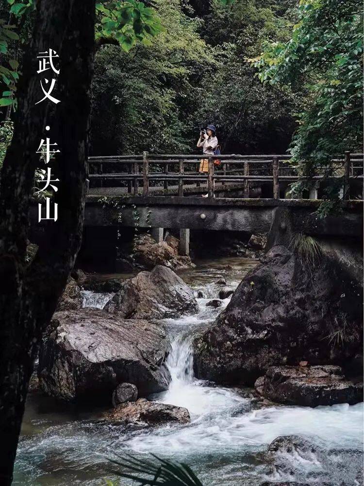 6bd401695cc06e7b073913ff5d4c116a-sz_181930-3