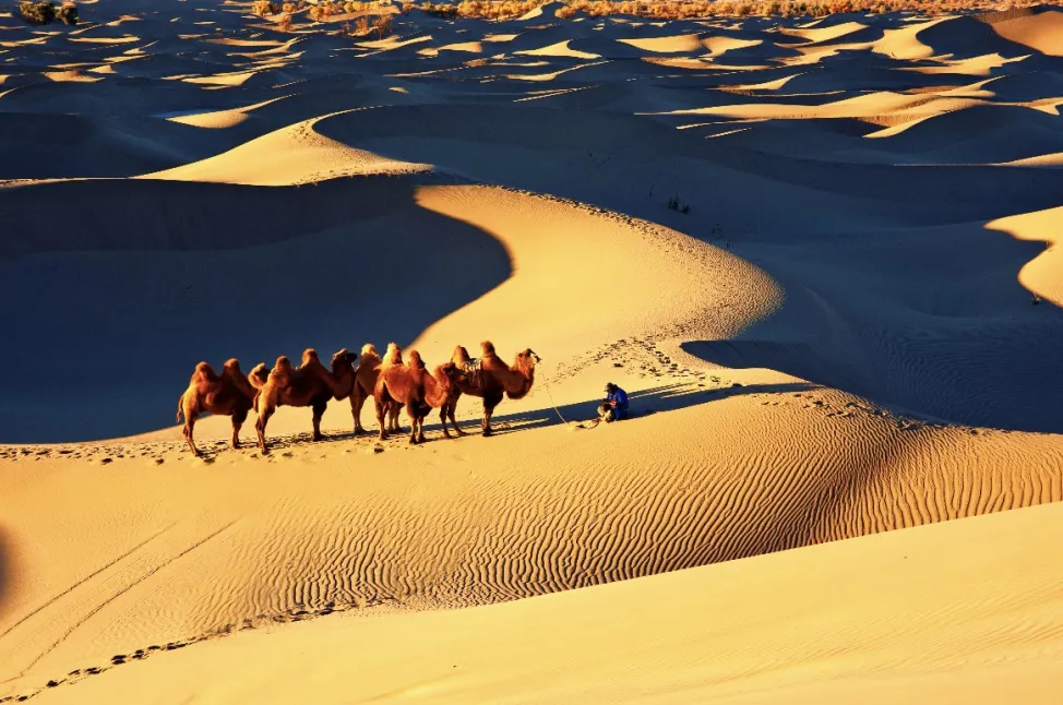 6c73b9946cf403cbc2a7eb045c44a93f-sz_475135-1 6c73b9946cf403cbc2a7eb045c44a93f-sz_475135-1