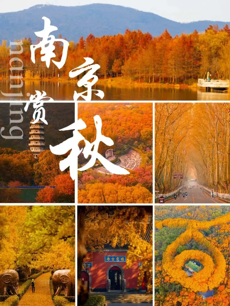 6f6413899e137bb28ab6272beb9346cc-sz_3731707