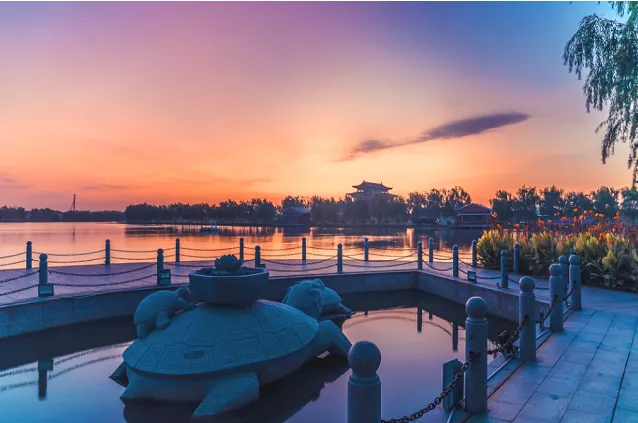 71d63e522bf8d88b28a78df4ae409501-sz_442310