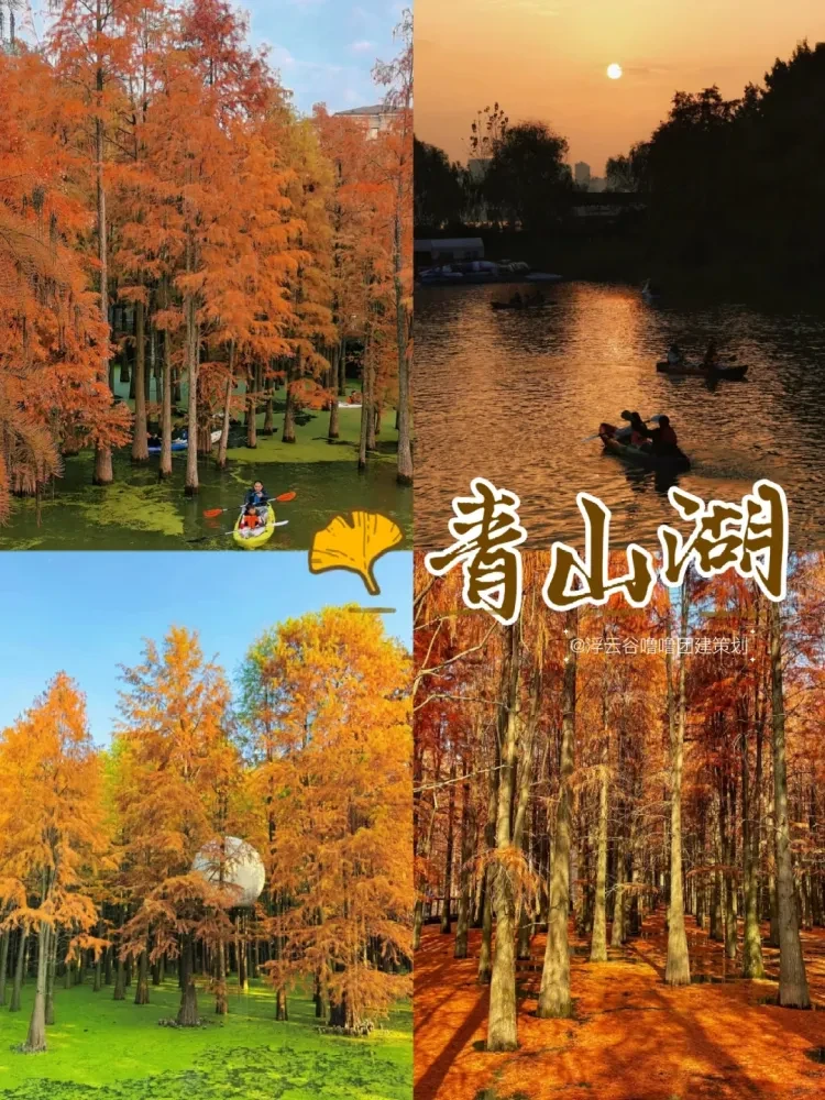 临安喊你来挖小香薯了【送5斤！免棋牌！赏秋3日399】2早4正餐！青山湖水上森林绝美赏秋！免棋牌！免KTV！指南村+功臣山+天目萌宠乐园+临安博物馆~