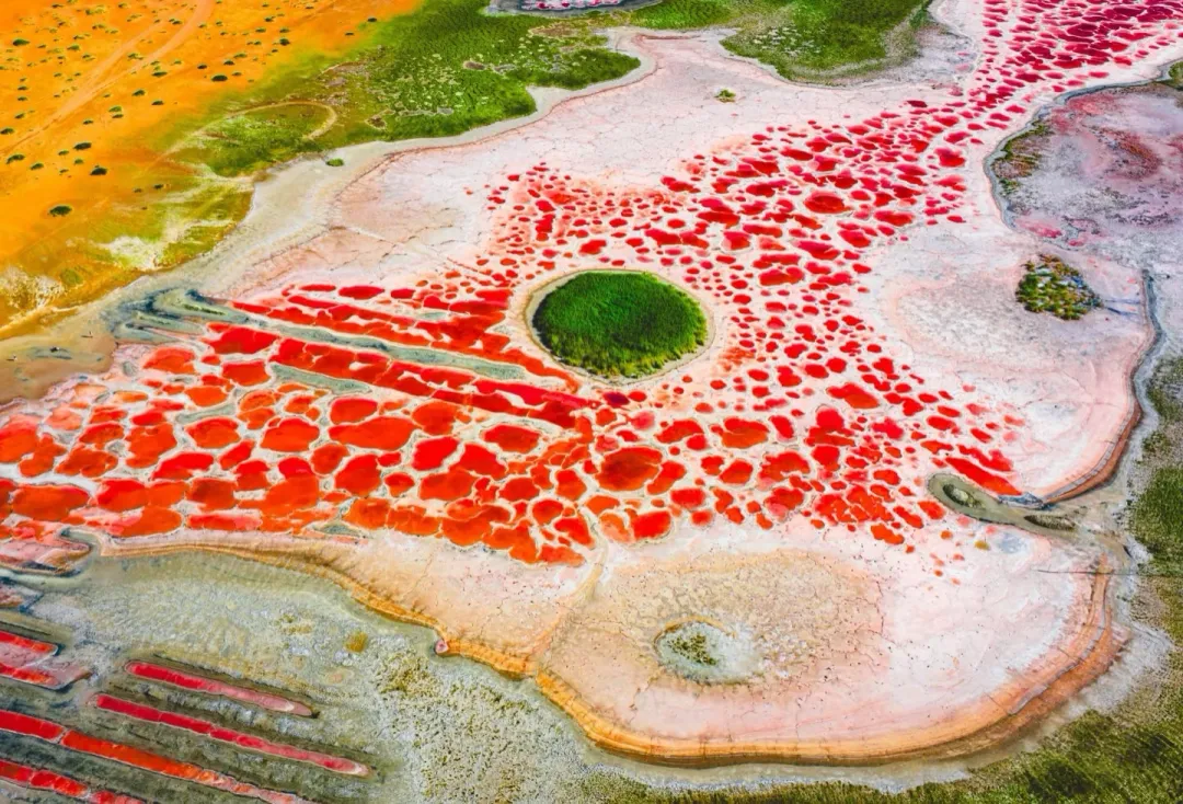 7321fa24130f998d1e4c0c5f086f49c6-sz_1934510 7321fa24130f998d1e4c0c5f086f49c6-sz_1934510