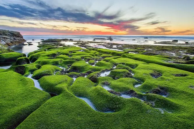 767af5b2b75016613456d5e648780656-sz_88580