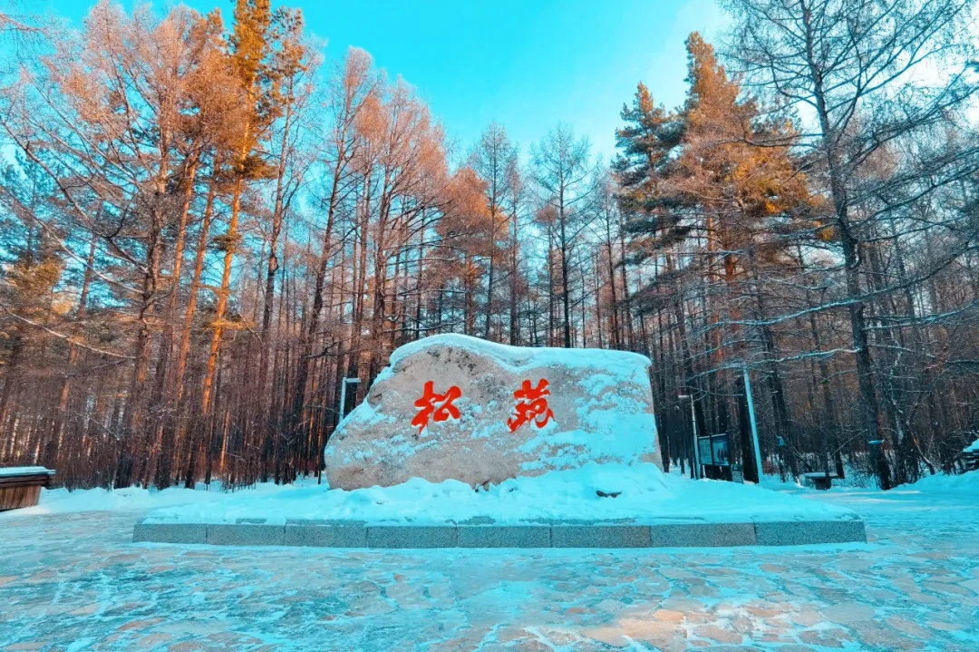 76d52477ca3b4c1b6cf853df360a94ca-sz_2496410 76d52477ca3b4c1b6cf853df360a94ca-sz_2496410