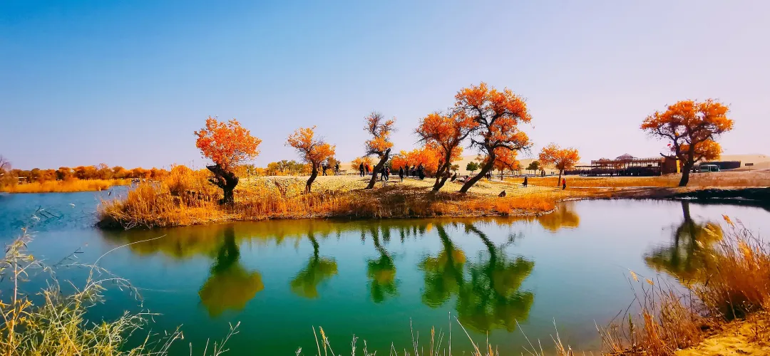 7722ece52c877fea2dae779311f5beb8-sz_2618414-3 7722ece52c877fea2dae779311f5beb8-sz_2618414-3