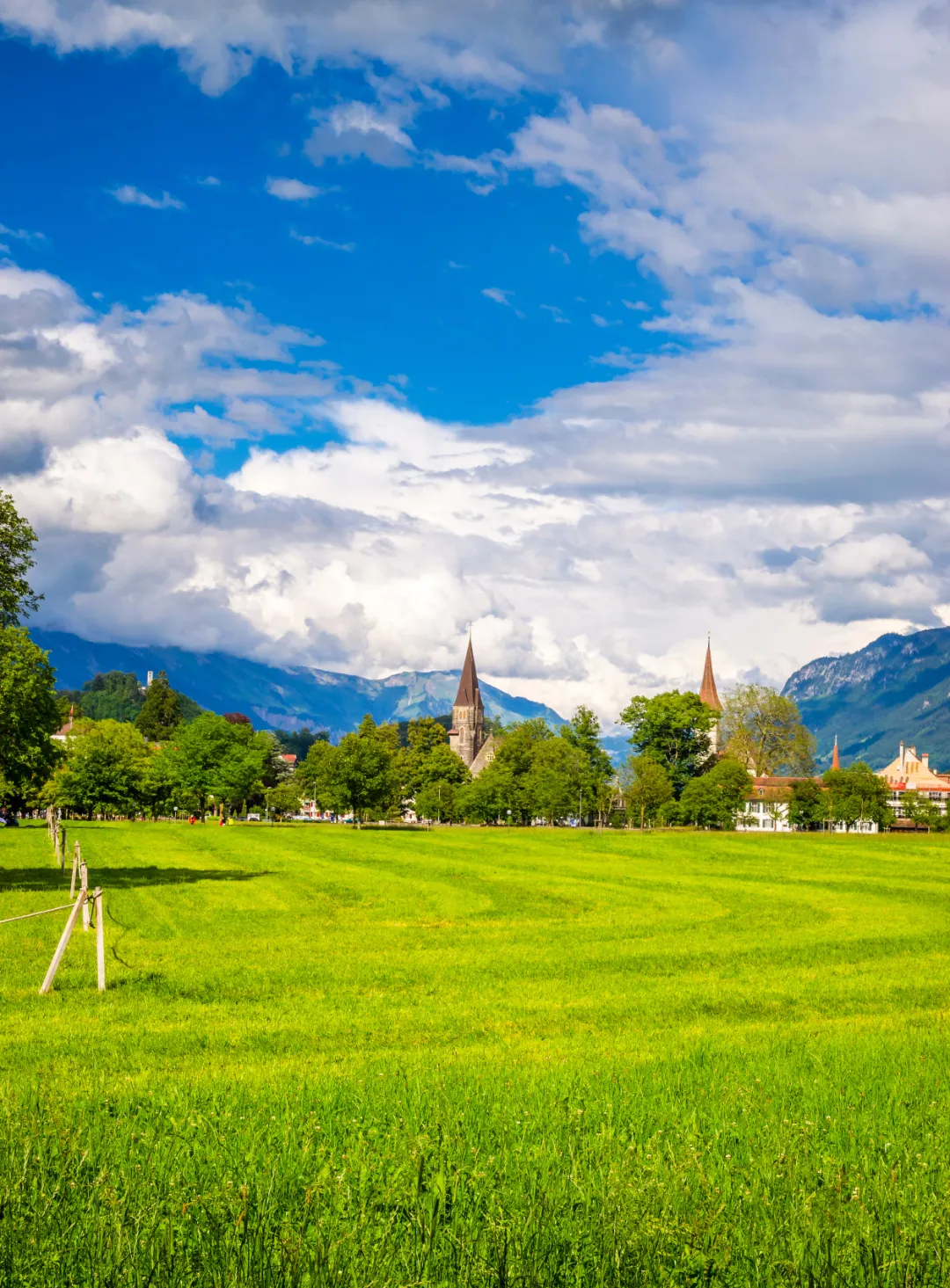 79c528f6a132c20502d6858417ce0ccd-sz_2100253-1 79c528f6a132c20502d6858417ce0ccd-sz_2100253-1