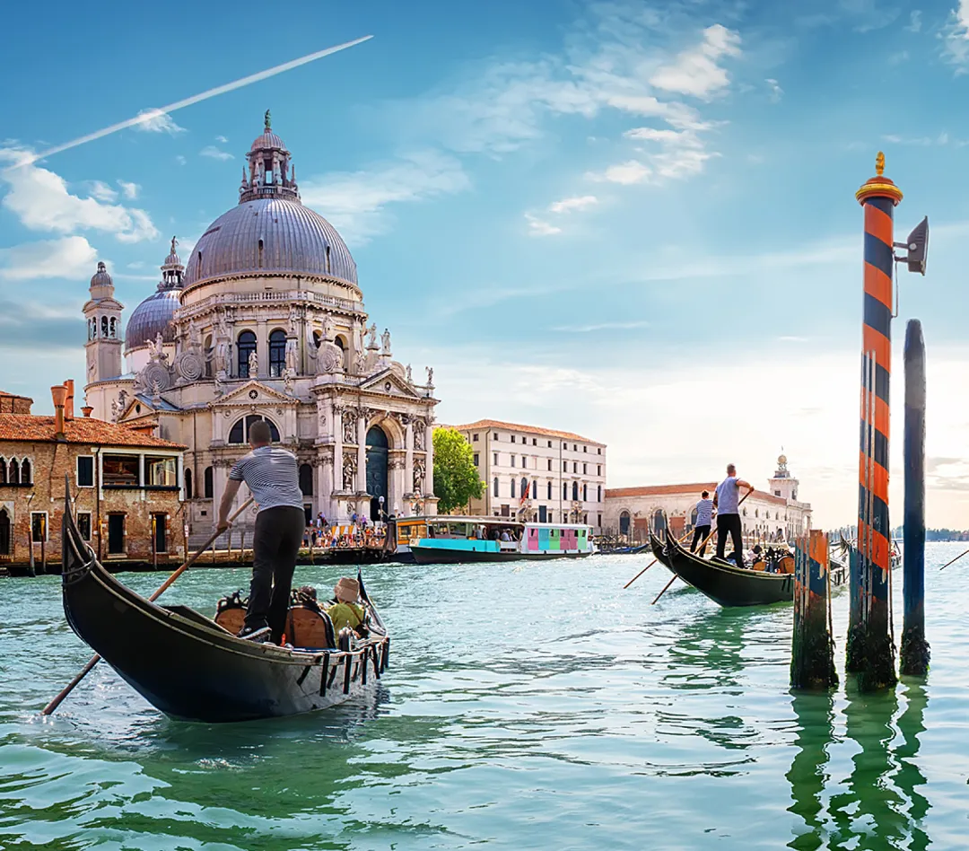 7abd1ae0f72a15c88ce56064a24c11d4-sz_1915083-1 7abd1ae0f72a15c88ce56064a24c11d4-sz_1915083-1