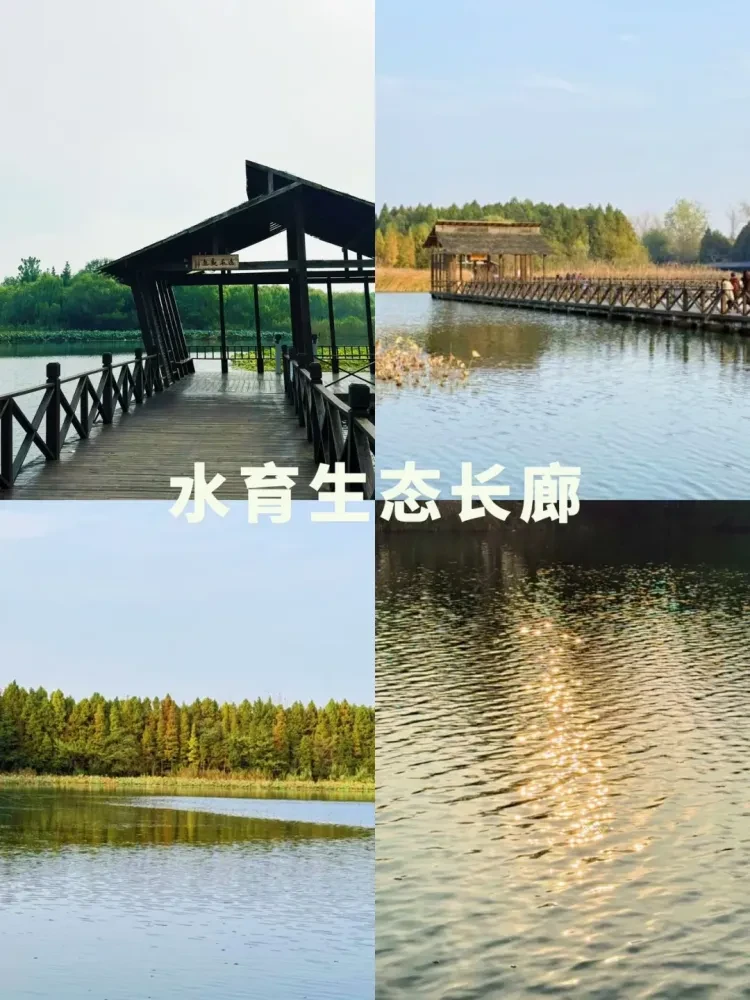 7b0053ebb5c9e0a90b611ca923263f35-sz_2468686 7b0053ebb5c9e0a90b611ca923263f35-sz_2468686