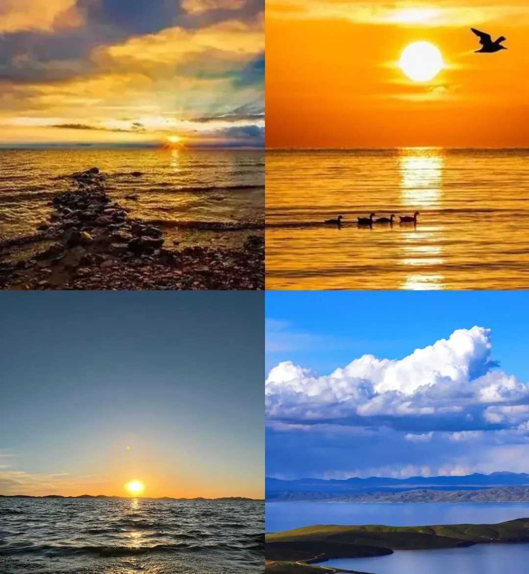 7ba5ebbca40c41a73297694b8ee9c36e-sz_2557949 7ba5ebbca40c41a73297694b8ee9c36e-sz_2557949