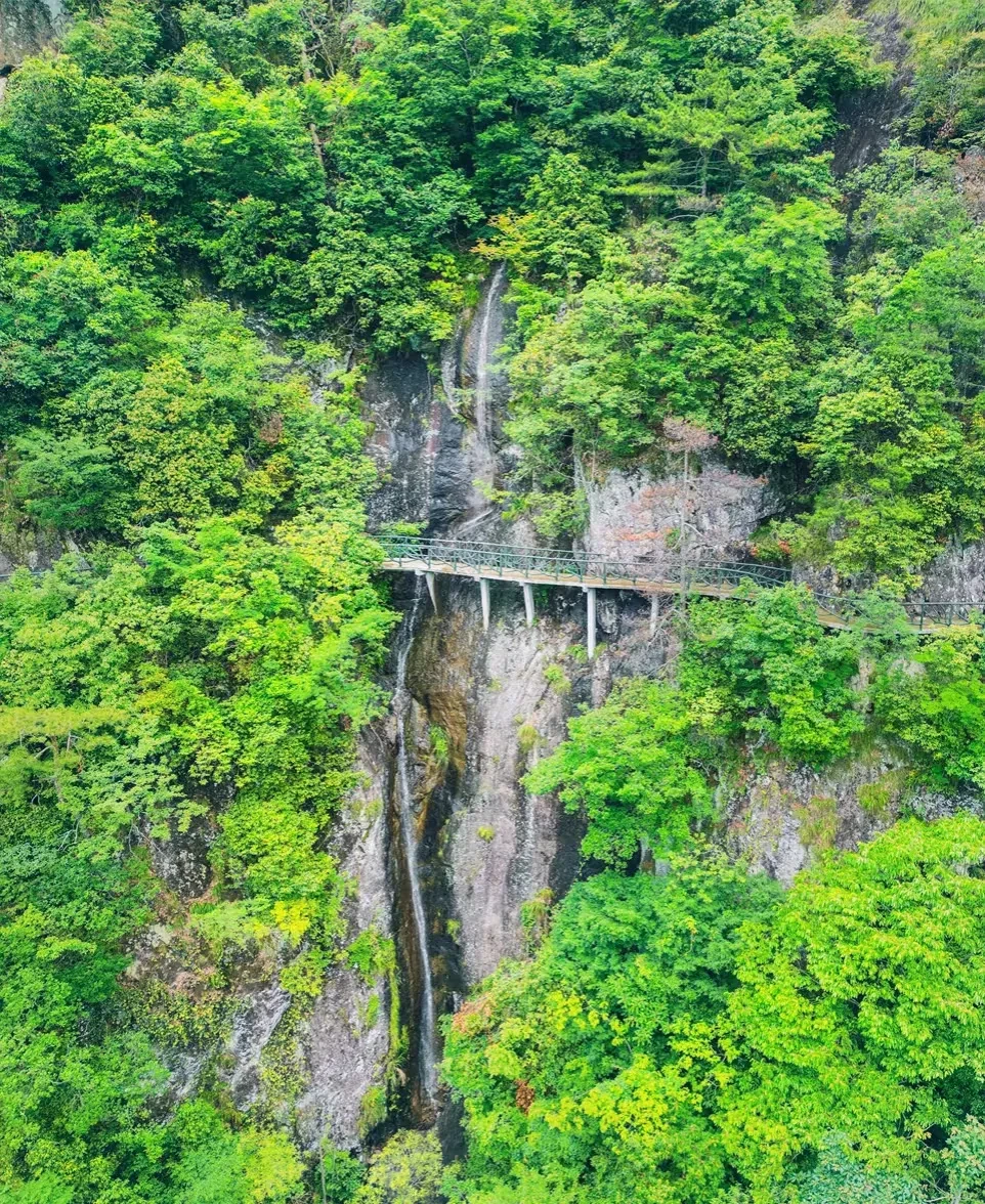 7bdce952f518daaad14542bbce09fae8-sz_835880 7bdce952f518daaad14542bbce09fae8-sz_835880