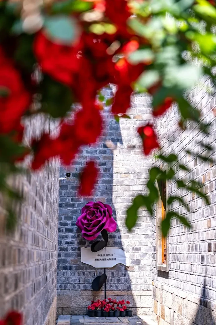 7c9106eb2bd6d931e3809d43b10e0d29-sz_3914579