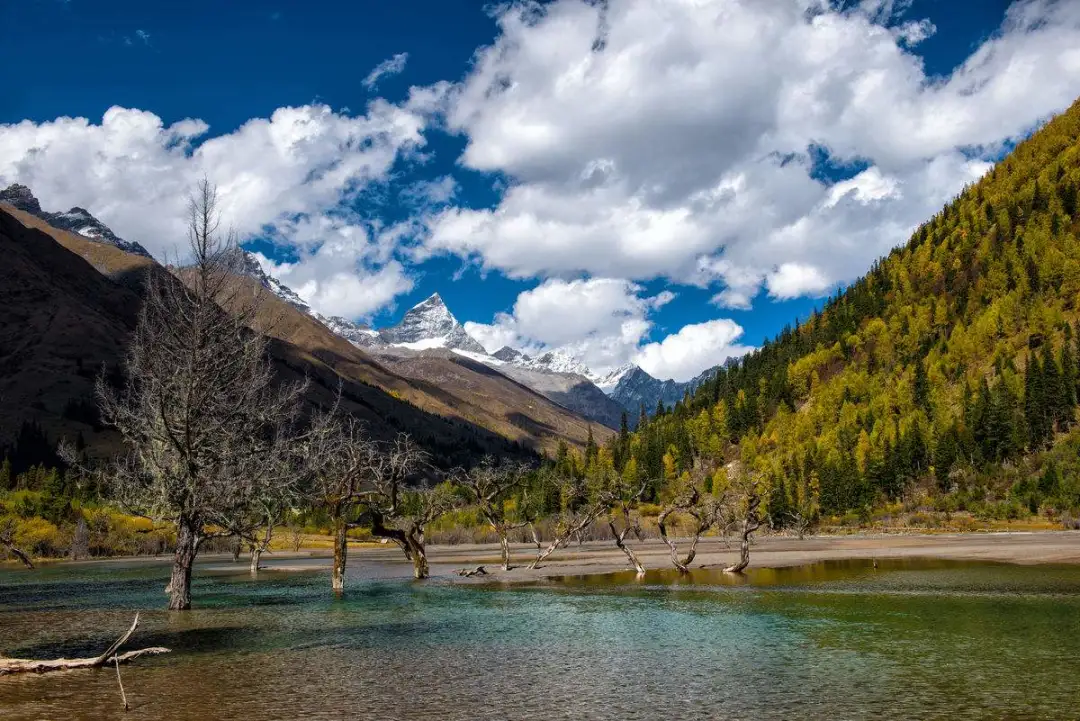 7d77bb8da497e20b9ff01a6378cac706-sz_185761-1 7d77bb8da497e20b9ff01a6378cac706-sz_185761-1