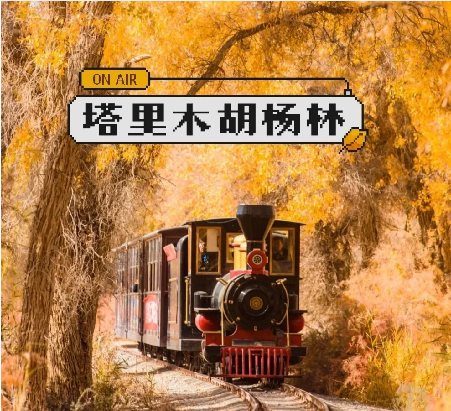 7f636d9807b8ba115f88908168db8e9b