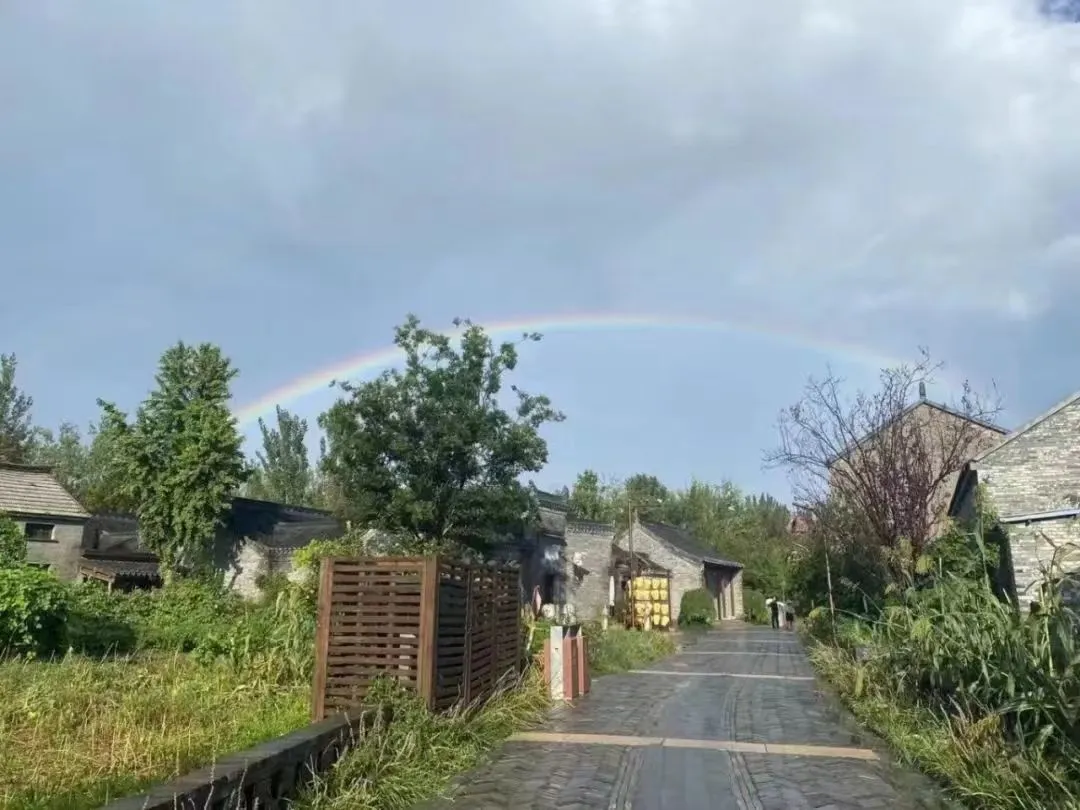 810ae81e7bb2c5dd91acefe4d8ea780a-sz_126579