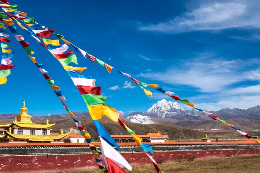 821f8f9663c307a6bb5ec1de42768278-sz_978311 821f8f9663c307a6bb5ec1de42768278-sz_978311