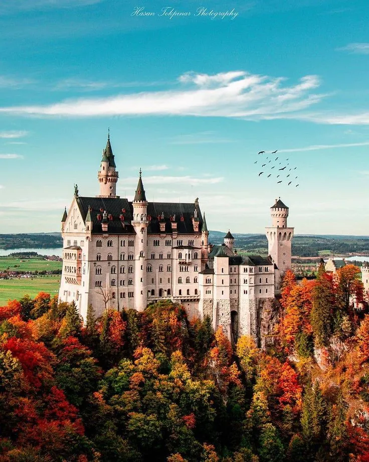 82b10f29c36b9c3af4393e72159d2d55-sz_153325 82b10f29c36b9c3af4393e72159d2d55-sz_153325