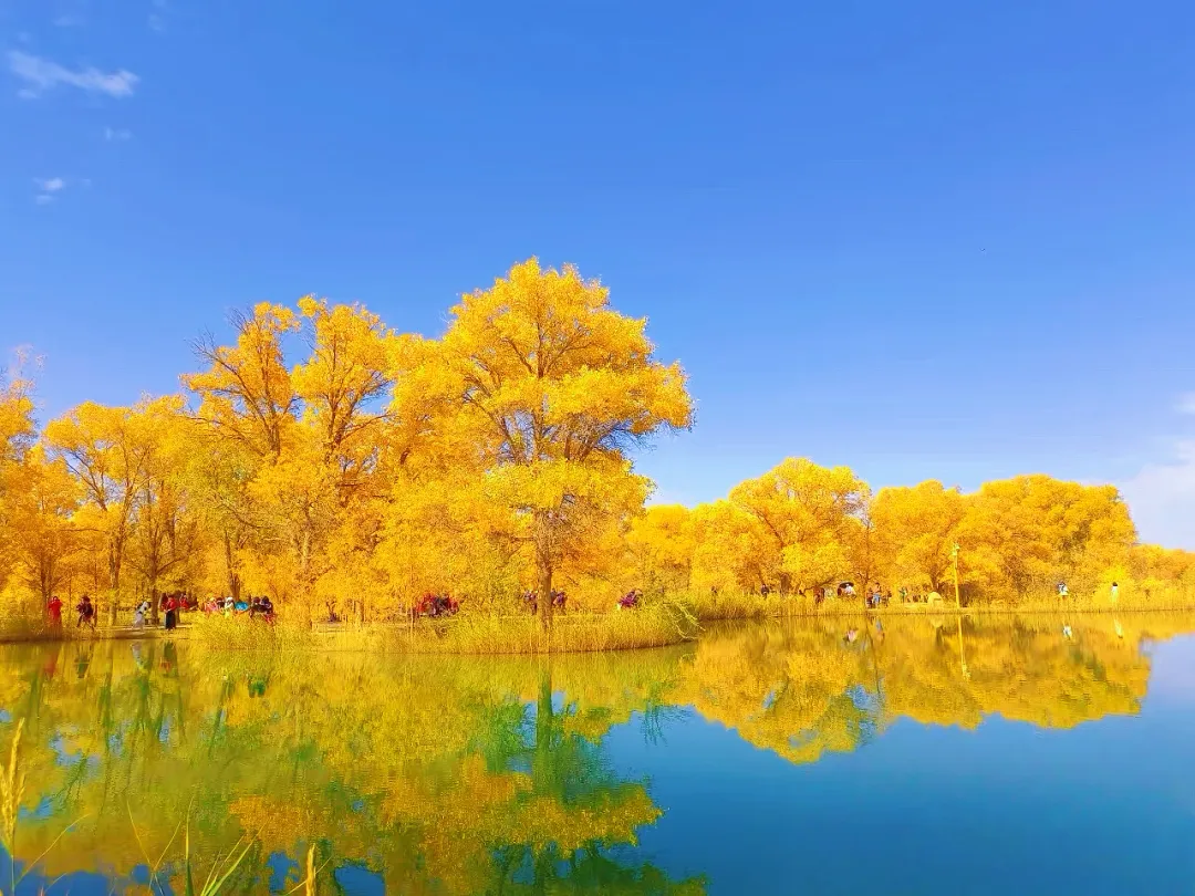 8495c50bd1f3908f49dbd4e9e6cfa0ed-sz_1781005-1 8495c50bd1f3908f49dbd4e9e6cfa0ed-sz_1781005-1