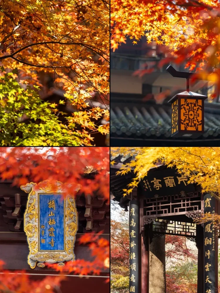 8815cf0337f969cd4a91d3dc8d4e7d6a-sz_3685856